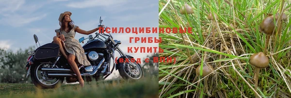 дмт Дмитров