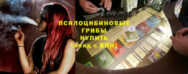 дмт Дмитров