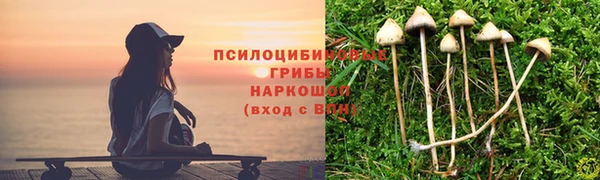 бошки Дмитриев