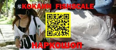 дмт Гатчина