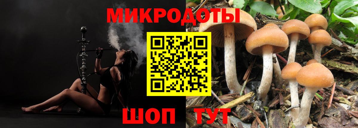 Галлюциногенные грибы Cubensis  Галлюциногенные грибы мицелий  Вход с VPN  Донецк 
